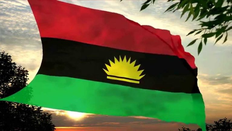 Biafra: Diaspora supporters solidly behind IPOB leader