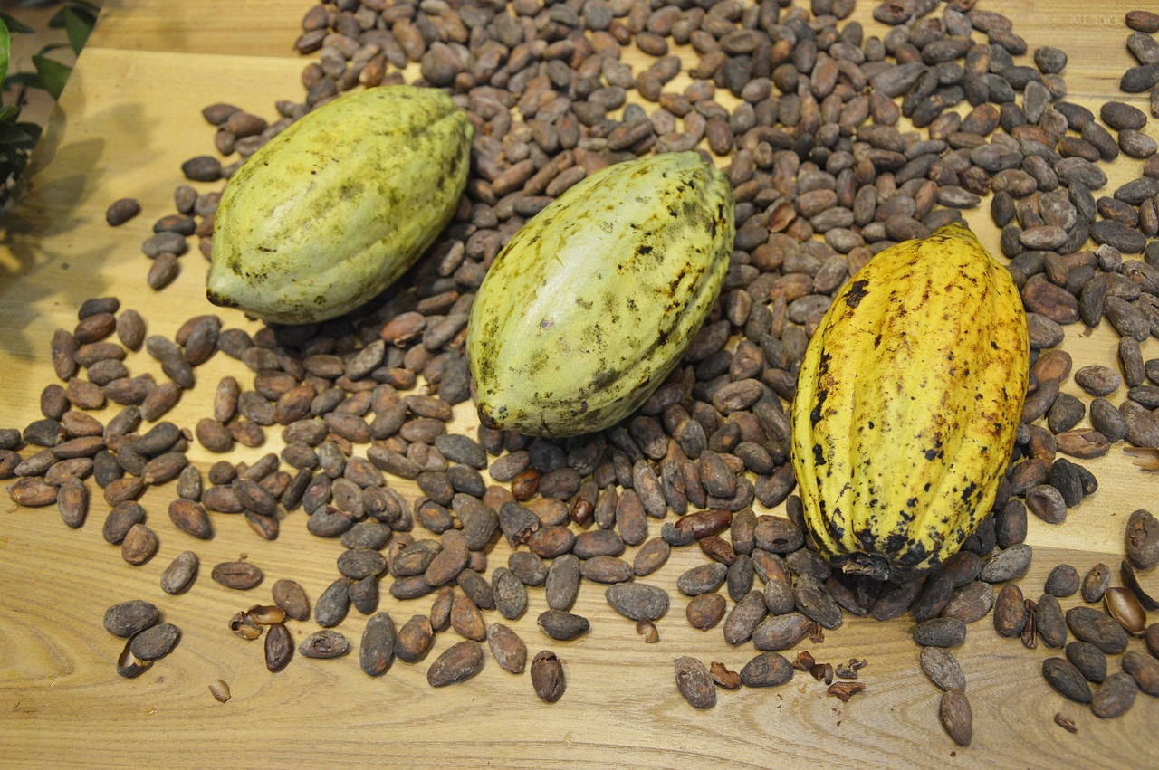 Fair Trade USA raises cocoa price minimums
