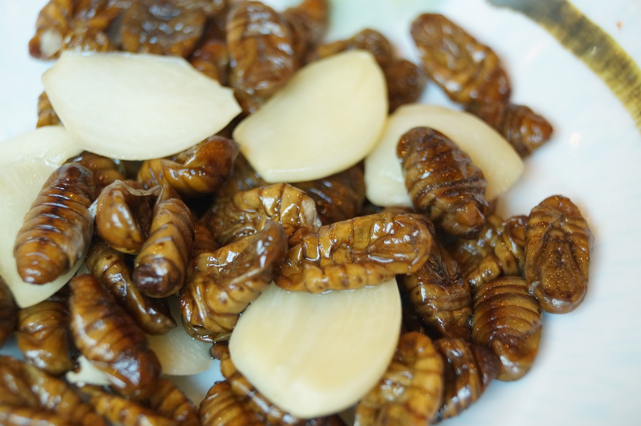 Eating ants, grasshoppers, silkworms protect against cancer