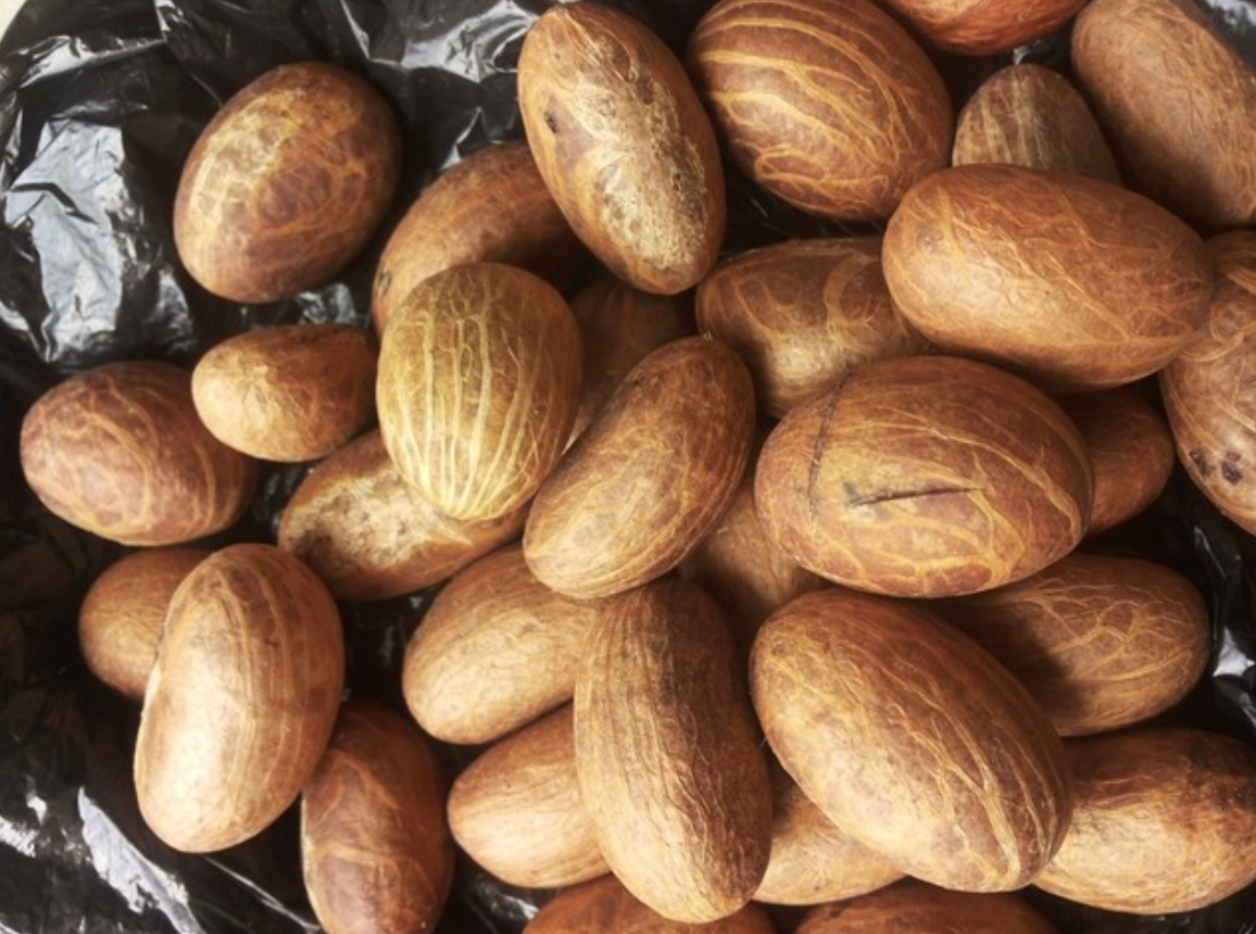 A Professor of Ophthalmology, Adebukola Oshintelu, says regular intake of African native nut, bitter kola, helps to treat and manage