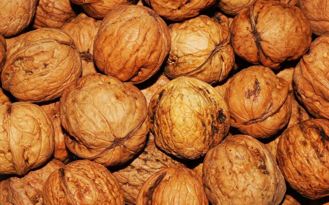Walnuts protect against ulcerative colitis, study reveals