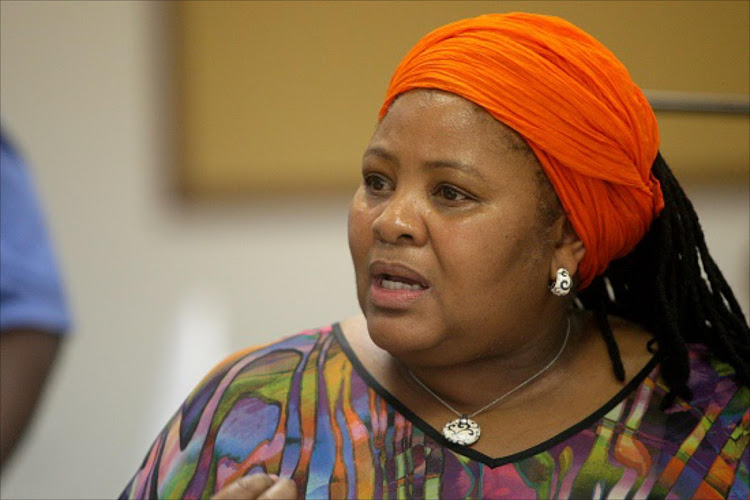 We can’t stop xenophobic attacks, says South African defence minister