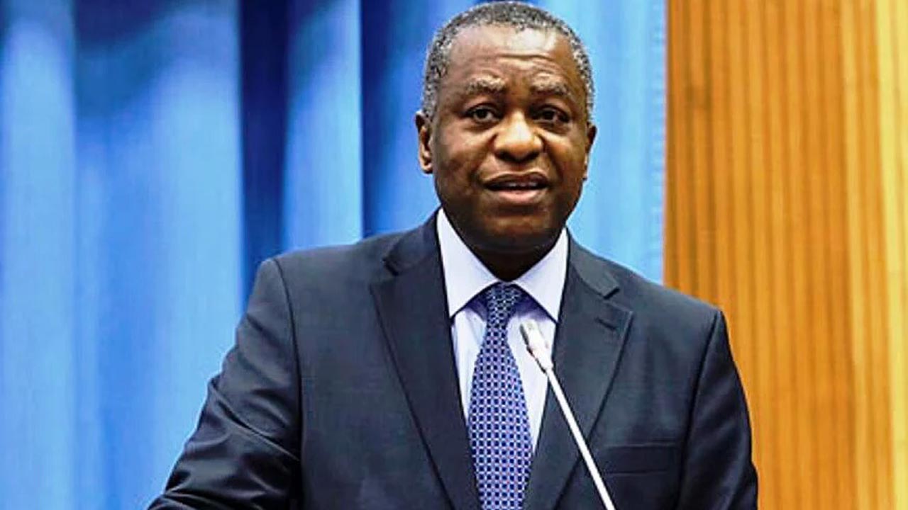 Nigeria Working To Adopt Visa-On-Arrival Policy - Onyeama