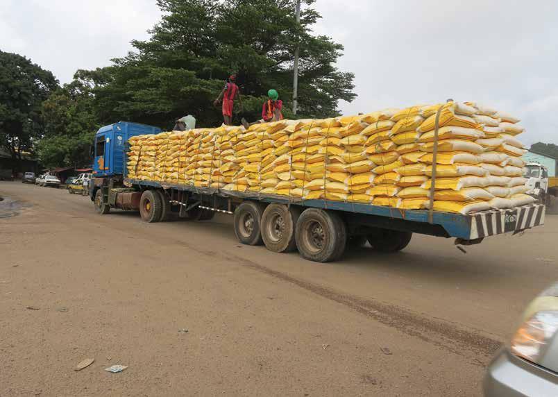 Niger Republic bans rice exportation to Nigeria