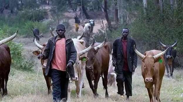 Alarm Raised Over Herdsmen Invasion Of Farmlands In Imo