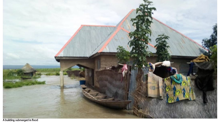 Flood Overruns Adamawa
