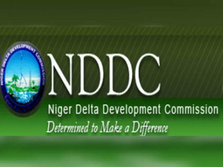 Senate Confirms NDDC Board Nominees