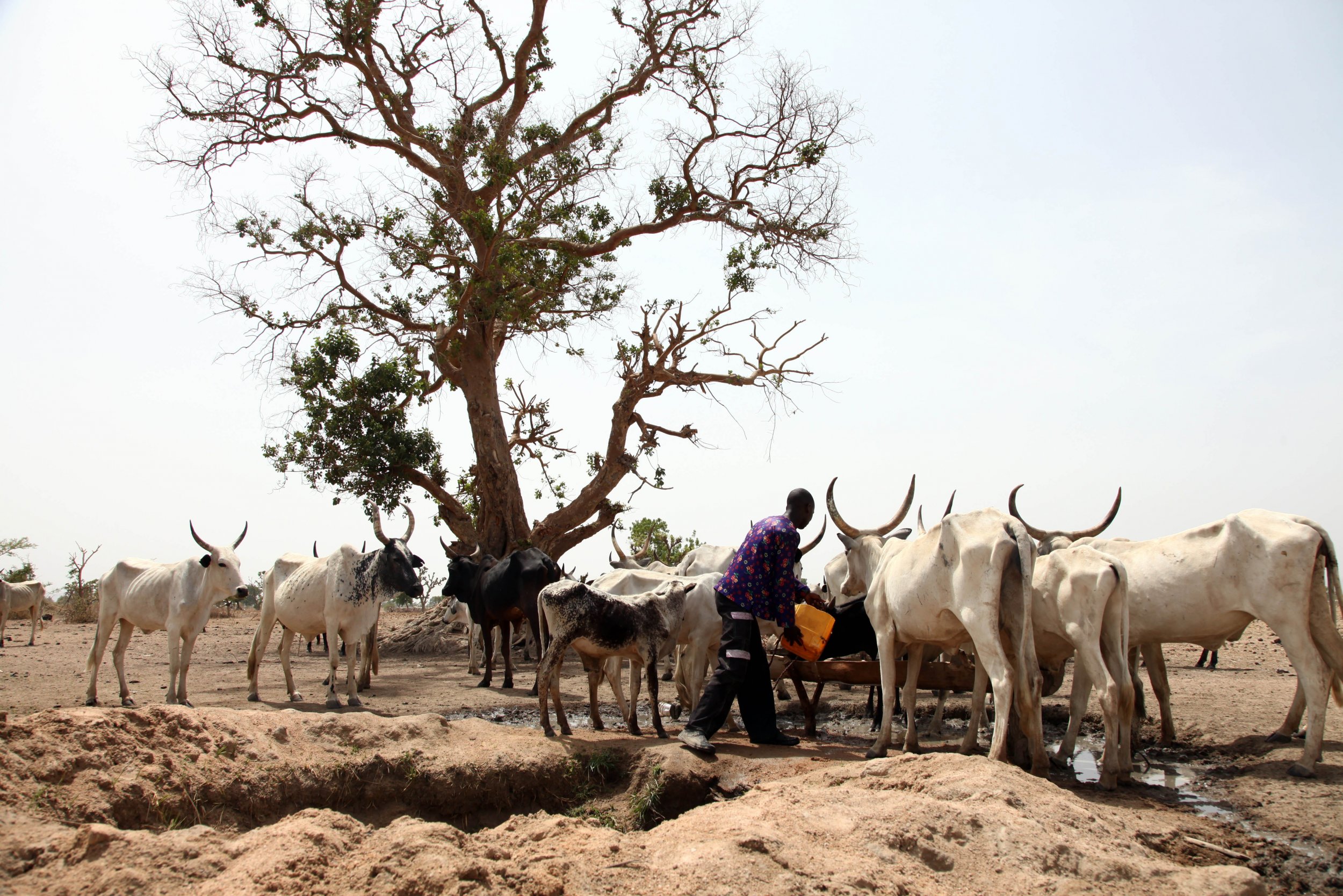 Water Resources Bill Is Another RUGA Policy – YOV