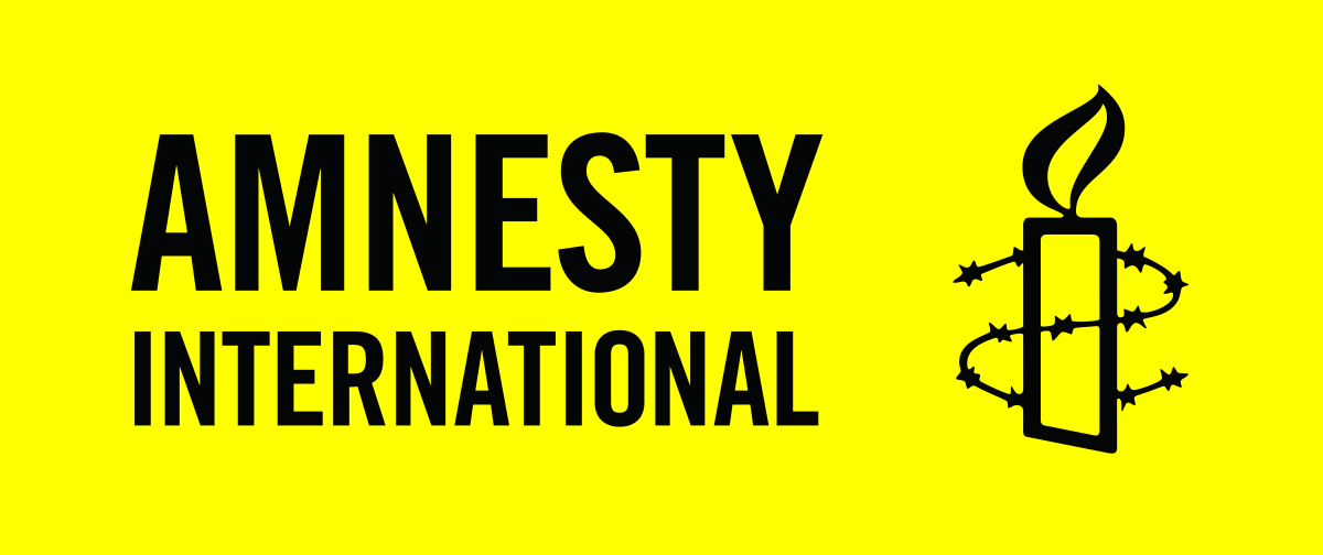 Amnesty Int’l Indicts Nigeria Military On Rights Abuses