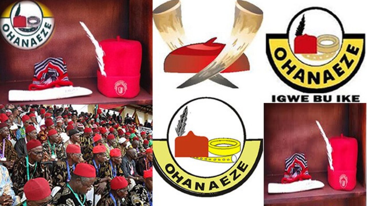 Ohanaeze Coup d'Etat - Ohanaeze Rebuffs Abaribe’s Armed Force Bill