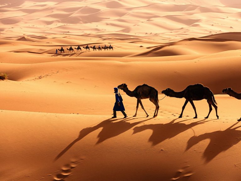 Africa’s Sahara Is The ‘Most Dangerous Place On Earth’