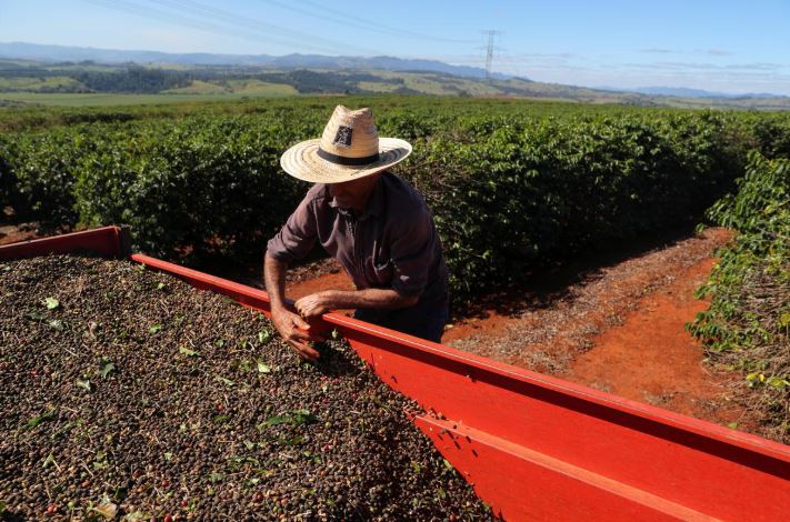 Coronavirus Delays Coffee Growers From Harvest