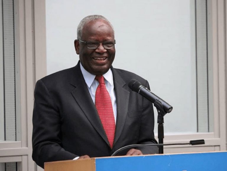 Ibrahim Gambari Breaks Silence After Appointment