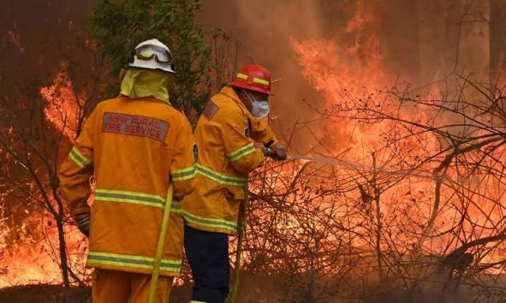 Officials Begin Inquiry Into Australian Bush Fire