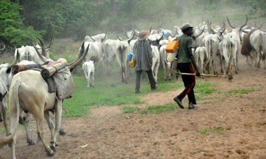 Herdsmen Butcher 65-Year-Old Man In Imo