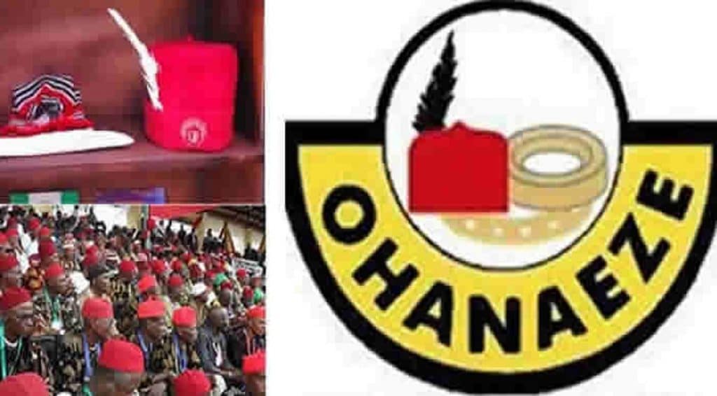 Ohanaeze Condemns New Police Promotion