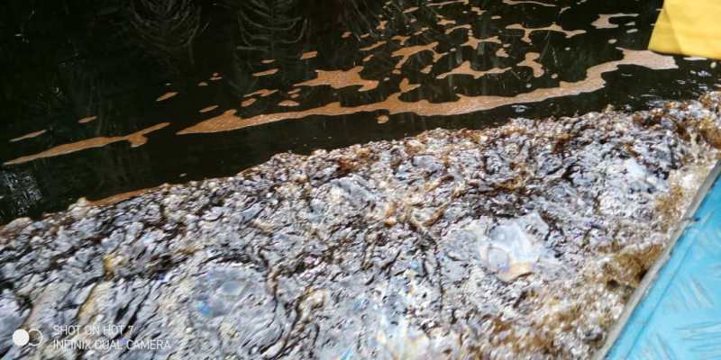 Riverine community In Bayelsa State Lament Fresh Crude Oil Spill