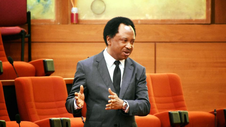 End SARS: Trade Unions, Opposition Parties Failed Nigerians – Sani