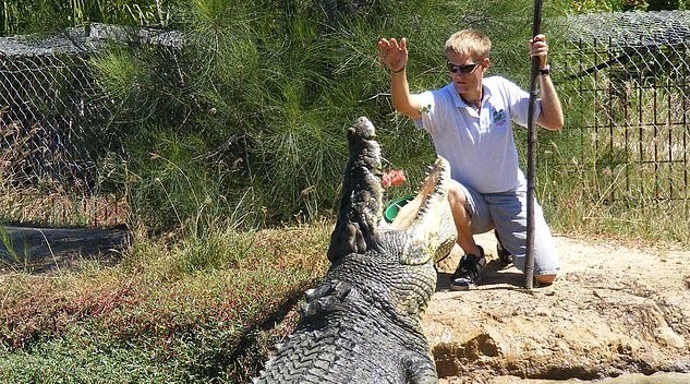 100-Year-Old Crocodile 'King Buka' Dies In Captivity (Photos)