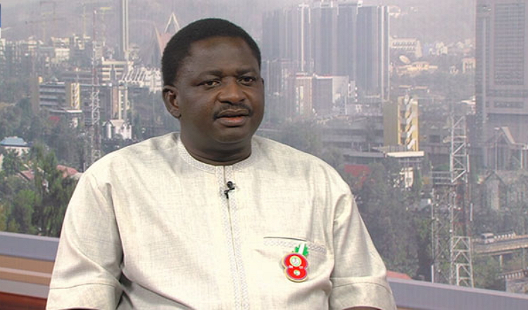 RevolutionNow protests, merely child’s play – Femi Adesina