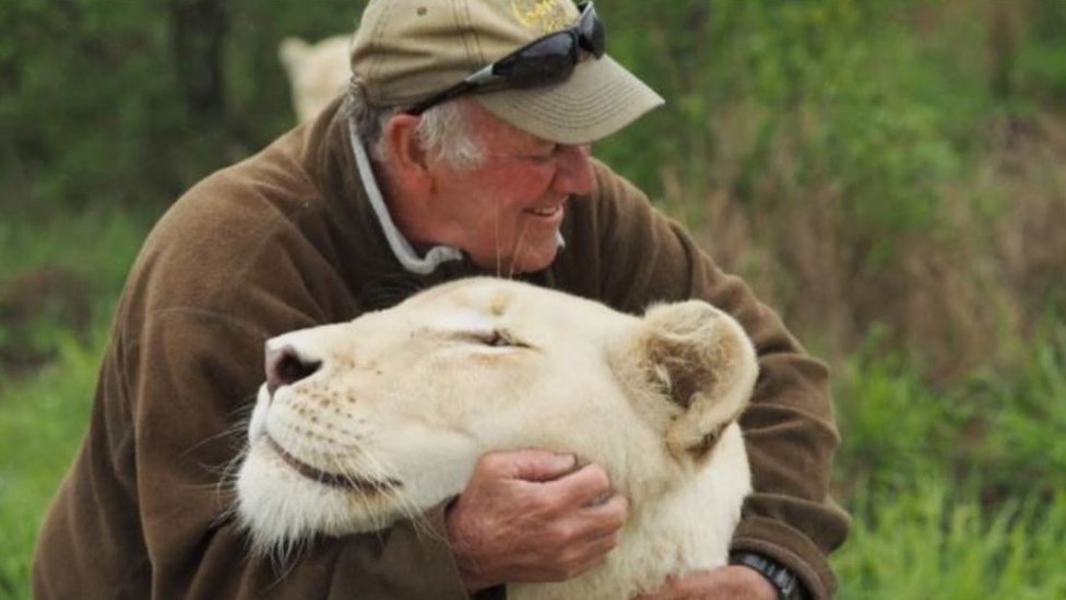 South African Mauled To Death By His Two White Lions