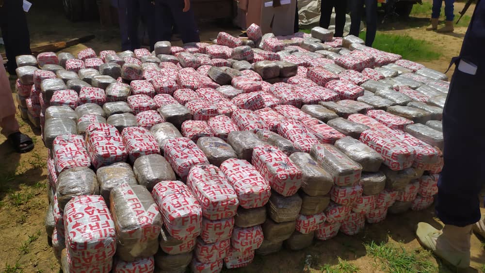 NDLEA intercepts, seizes cannabis worth N10 million in Yobe