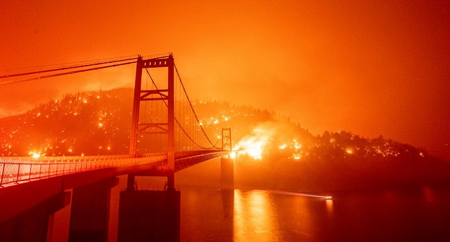 Wildfires Devastate US West Coast, At Least Seven Dead (1)