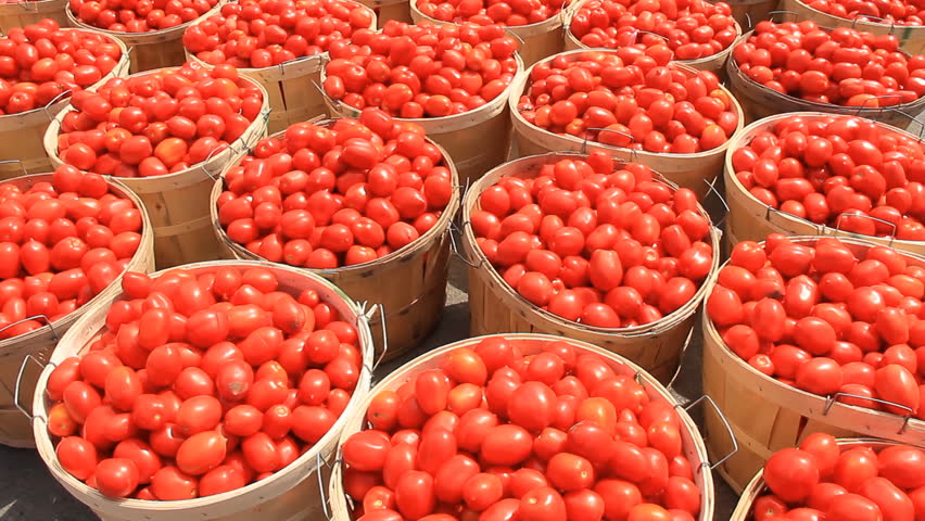 Dangote Demands Total Ban On Tomato Importation