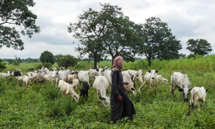 Open all cattle routes – Kaduna peace committee tasks farmers