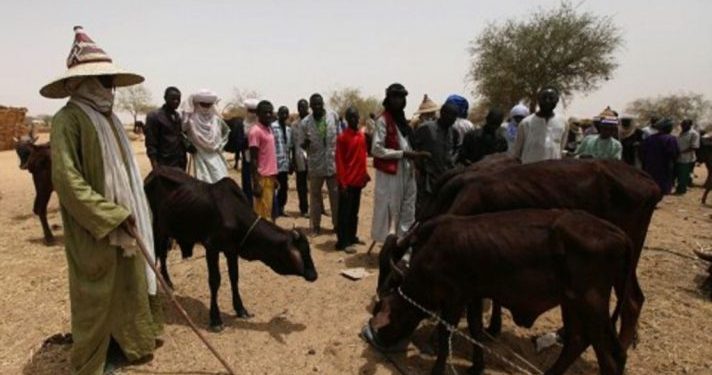 S'Govs Have Declared War On Herders – Miyetti Allah