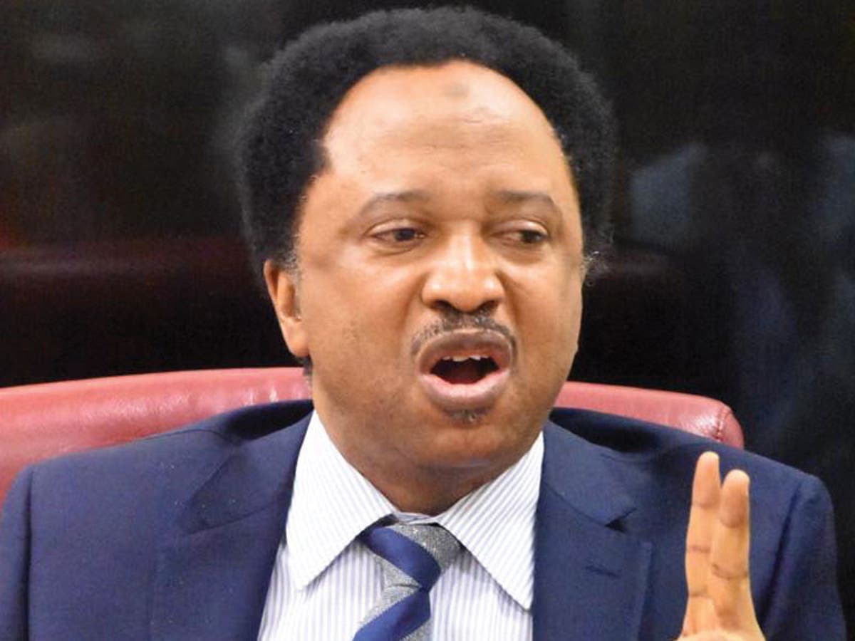 Kanu: I Lectured Abaribe On How To Live In Prison – Shehu Sani