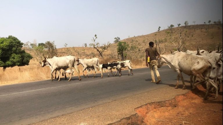Farmers, Herders Clash Leaves At Least 14 Dead In CAR