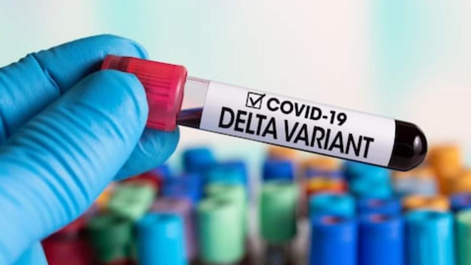 How Delta Covid-19 Variant Is Driving Surge In South Africa