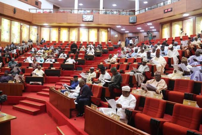 We Can’t Give You A New Constitution, Senate Tells Nigerians