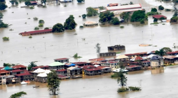Thousands rendered homeless in Taraba as Cameroon opens dam