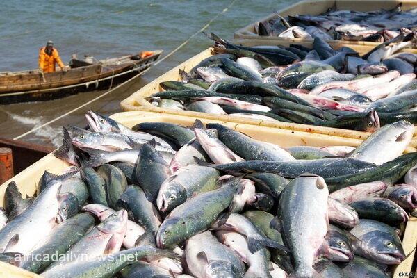Fishery Imports, Exports Should Be Certified - Stakeholders