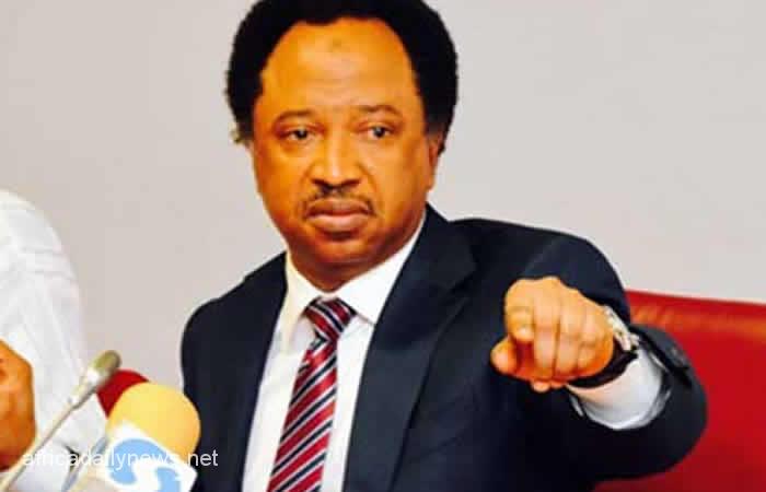 ASUU: Shehu Sani Reacts To Nude Protest By Female Students