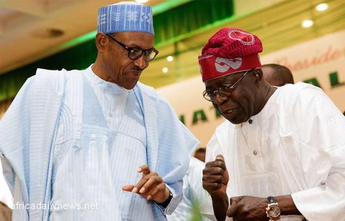Buhari Wouldn’t Have Become President Without Me – Tinubu