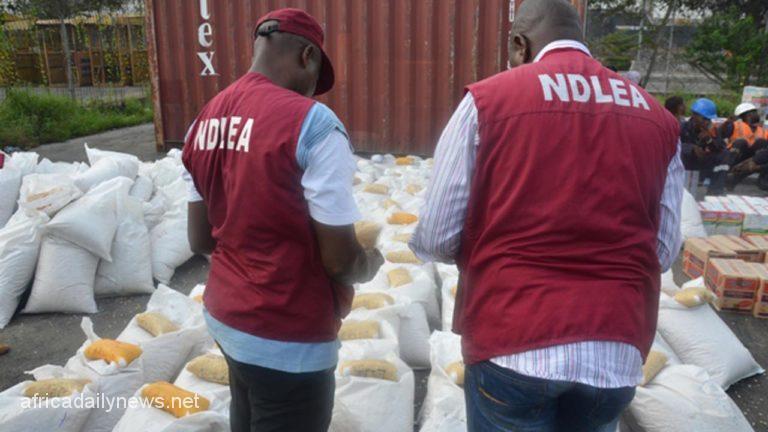 NDLEA Boss Announces Arrest Of 17,000 Offenders, 10 Barons