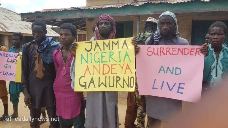 Nigerian Army Receives 204 Repentant Boko Haram Terrorists