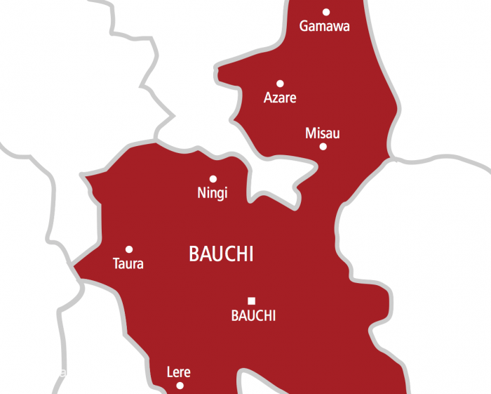 Panic As Village Head, Son Are Abducted In Bauchi Community