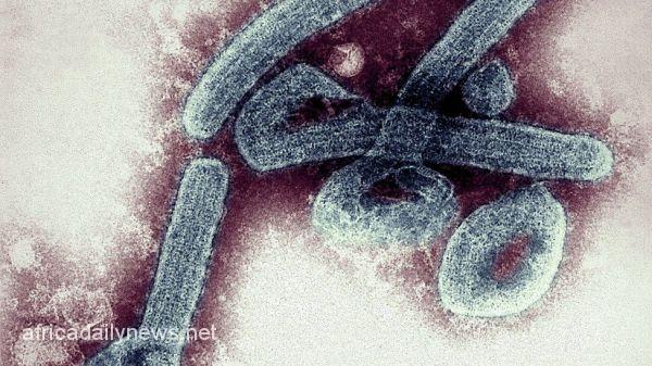 Anxiety As Ghana Records First Cases Of Deadly Marburg Virus