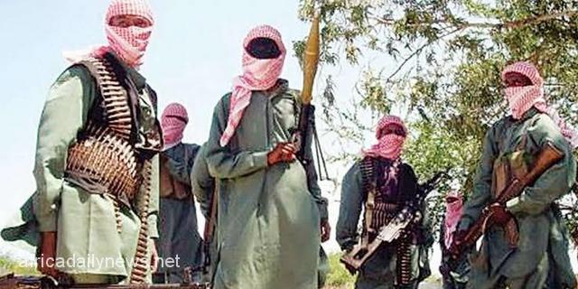 Boko Haram Has Built Strong Presence Close To Abuja – Bukarti
