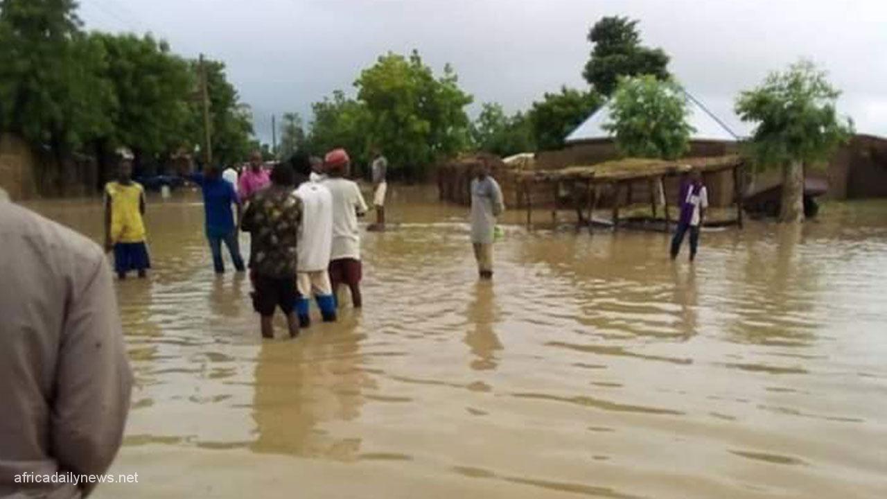 Flood Washes Away 100 Houses, Farmlands In Bauchi Communities