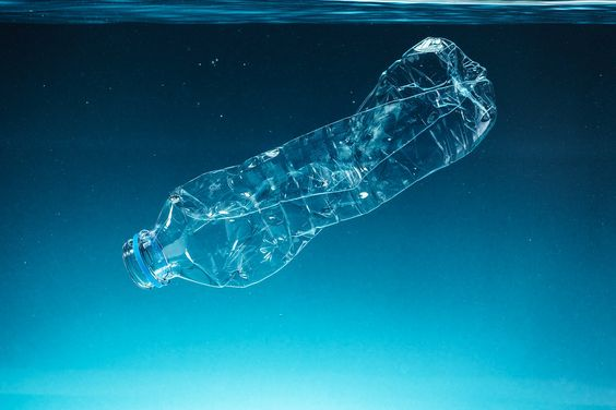 Scientists Say Bacteria Might End Plastic Pollution In Water