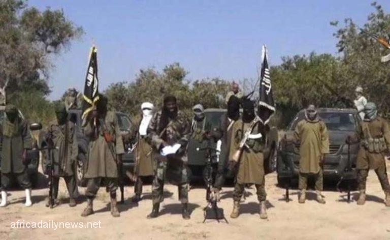 Insecurity ISWAP Kidnap 6 Farmers In Borno, Slaughter One