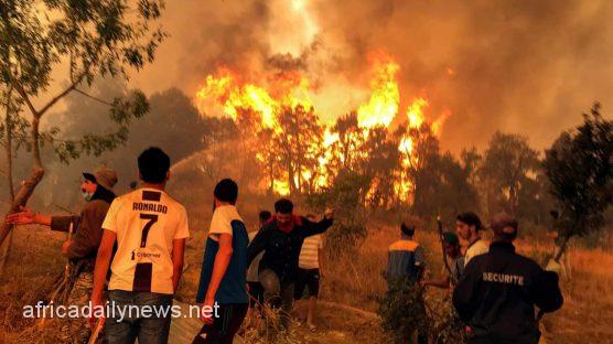 Over 26 Confirmed Dead As Forest Fires Ravages North Algeria