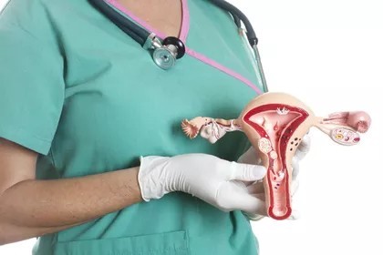 Some Myths About The Female Reproductive System