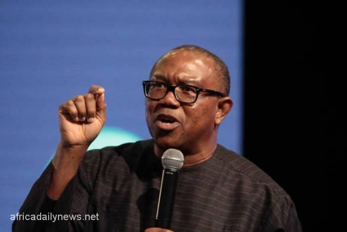 Stop Borrowing For Consumption, Peter Obi Warns FG, States