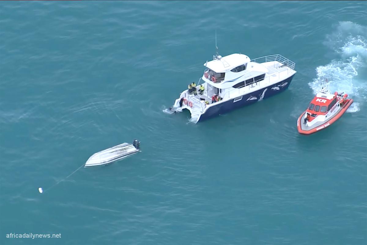 Five Perish As New Zealand Boat Collides With Whale